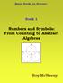 Numbers and Symbols: From Counting to Abstract Algebras