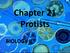 Chapter 21 Protists BIOLOGY II
