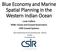 Blue Economy and Marine Spatial Planning in the Western Indian Ocean