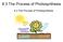 8.3 The Process of Photosynthesis. 8.3 The Process of Photosynthesis