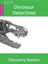 Dinosaur Detectives. Discovery Session