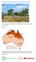 Australian tropical savanna Information sheet