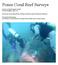 Ponce Coral Reef Surveys
