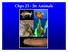 Chps : Animals. Characteristics of kingdom Animalia: Multicellular Heterotrophic Most are motile Possess sense organs