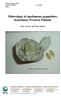 Mineralogy of spodumene pegmatites, Kaustinen, Western Finland Thair Al-Ani and Timo Ahtola