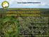 Projeto Temático FAPESP 2013/ Climate Ecosystems Atmospheric Composition