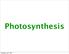 Photosynthesis Thursday, July 7, 2011