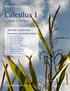 Calculus I. Activity Collection. Featuring real-world contexts:  by Frank C. Wilson