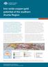 Iron oxide-copper-gold potential of the southern Arunta Region