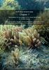 Part II: Species and species groups. Chapter 7. Vulnerability of macroalgae of the Great Barrier Reef to climate change