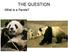 What is a Panda? THE QUESTION