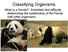 Classifying Organisms. What is a Panda? Scientists had difficulty determining the relationship of the Panda with other organisms.