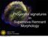Progenitor signatures in Supernova Remnant Morphology. Jacco Vink Utrecht University
