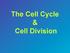 The Cell Cycle & Cell Division