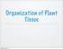 Organization of Plant Tissue. Wednesday, March 2, 16
