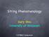 String Phenomenology. Gary Shiu University of Wisconsin. Symposium