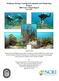 Southeast Florida Coral Reef Evaluation and Monitoring Project 2004 Year 2 Final Report June 2005