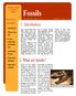 Fossils. 1. Introduction. 2. What are fossils? PO IN TS OF IN TE RES T : Introduction. What are fossils? Factors which affect the fossilization