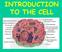 What is a cell? A cell is the basic unit of structure and function in living things. Who discovered cells?