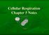 Cellular Respiration Chapter 5 Notes