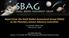 Report from the Small Bodies Assessment Group (SBAG) to the Planetary Science Advisory Committee
