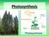 Photosynthesis Equation. 6CO 2 + 6H 2 O + light C 6 H 12 O 6 + 6O 2