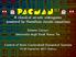 pacman A classical arcade videogame powered by Hamilton-Jacobi equations Simone Cacace Universita degli Studi Roma Tre