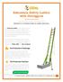 Extension Safety Ladder with Outriggers