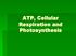 ATP, Cellular Respiration and Photosynthesis