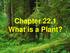 Chapter What is a Plant? Biology. Slide 1 of 33. End Show. Copyright Pearson Prentice Hall