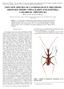TWO NEW SPECIES OF CAVERNICOLOUS TRECHINES FROM SOUTHERN CHINA KARST (COLEOPTERA: CARABIDAE: TRECHINAE) MINGYI TIAN* AND SUNBIN HUANG