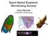 Space-Based Exoplanet Microlensing Surveys. David Bennett University of Notre Dame
