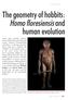 Homo floresiensis and
