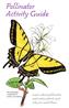 Pollinator Activity Guide