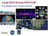 Large AGN Surveys With VLBI