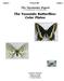 The!Taxonomic!Report! The!Yosemite!Butterflies;! Color!Plates!