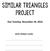 SIMILAR TRIANGLES PROJECT