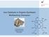 Iron Catalysis in Organic Synthesis Multitasking Champion. Current literature Andrey Kuzovlev