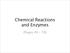 Chemical Reactions and Enzymes. (Pages 49-59)