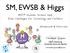 SM, EWSB & Higgs. MITP Summer School 2017 Joint Challenges for Cosmology and Colliders. Homework & Exercises