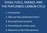 FOSSIL FUELS, ENERGY, AND THE PERTURBED CARBON CYCLE