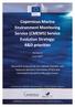 Copernicus Marine Environment Monitoring Service (CMEMS) Service Evolution Strategy: R&D priorities