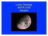 Lunar Geology ASTR 2120 Sarazin