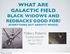 WHAT ARE GALACTIC FIELD BLACK WIDOWS AND REDBACKS GOOD FOR? (EVERYTHING BUT GRAVITY WAVES) Mallory Roberts Eureka Scientific Jan. 22, 2013 Aspen, CO