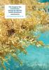 The Sargasso Sea Commission: Saving the Atlantic Golden Rainforest.