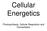 Cellular Energetics. Photosynthesis, Cellular Respiration and Fermentation