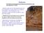 Weathering The effects of the physical and chemical environment on the decomposition of rocks