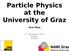 Particle Physics at the University of Graz