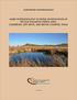 KARST HYDROGEOLOGY SCOPING INVESTIGATION OF THE SAN SOLOMON SPRING AREA: CULBERSON, JEFF DAVIS, AND REEVES COUNTIES, TEXAS