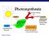Photosynthesis: Life from Light and Air. Regents Biology
